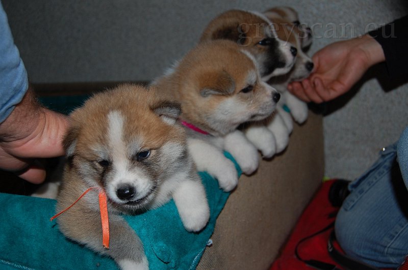 9 a teď všechno zjistáme.jpg